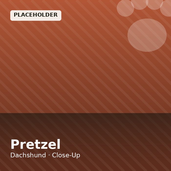Pretzel photo 3