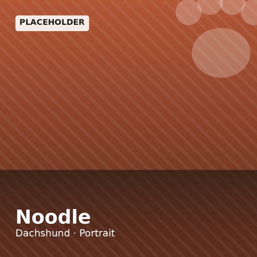 Noodle, Dachshund puppy