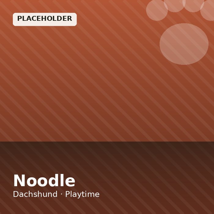 Noodle photo 2