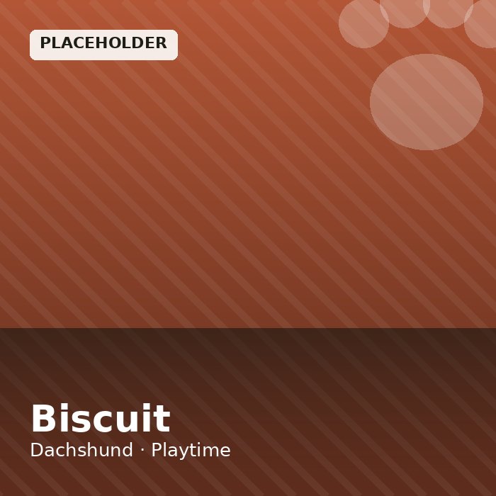 Biscuit photo 2