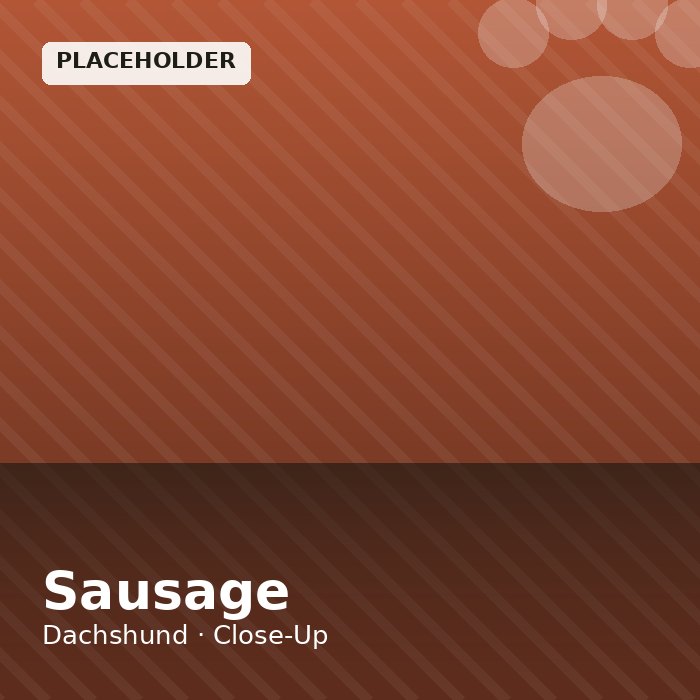 Sausage photo 3