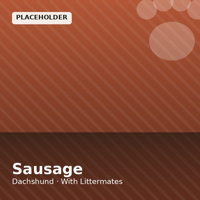 Sausage photo 4