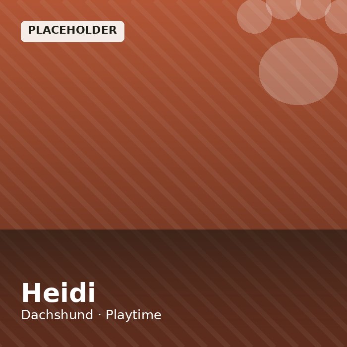 Heidi photo 2