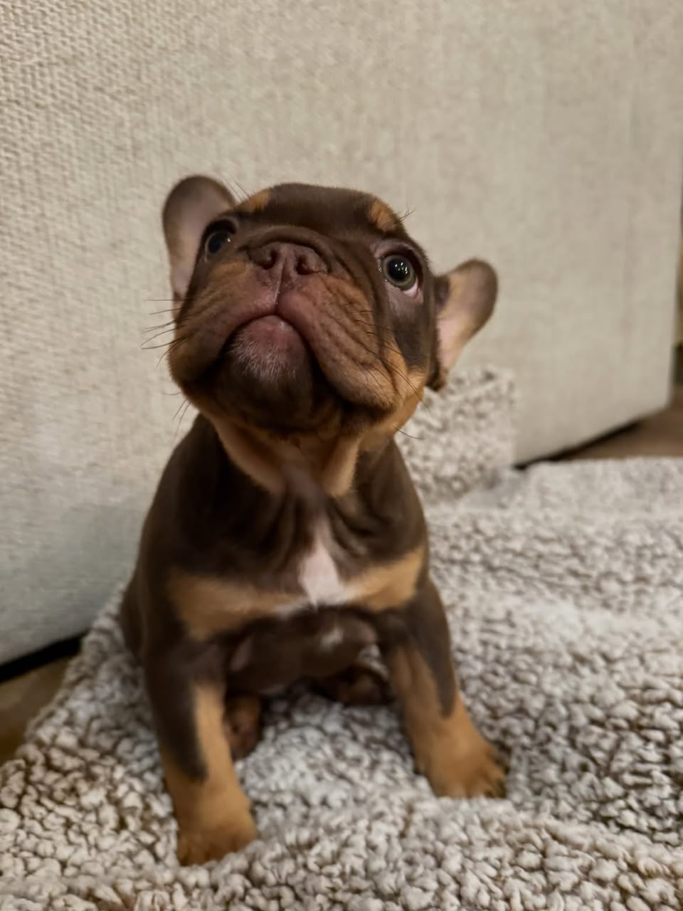 Otis photo 3