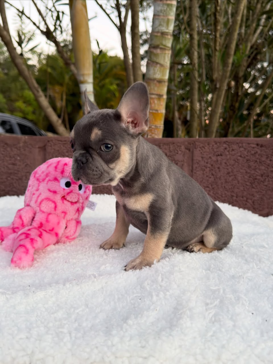 Winston photo 2