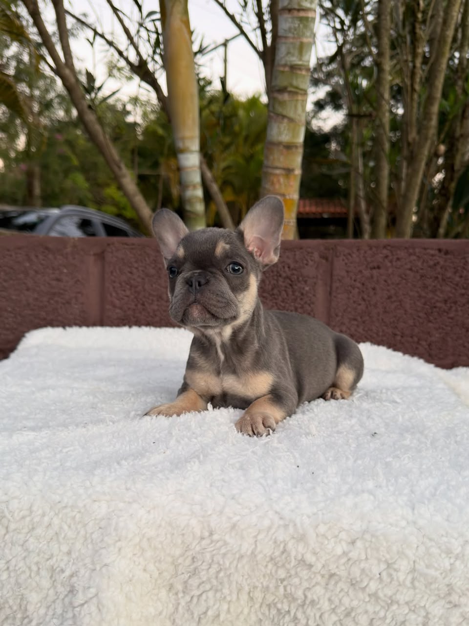 Winston photo 4