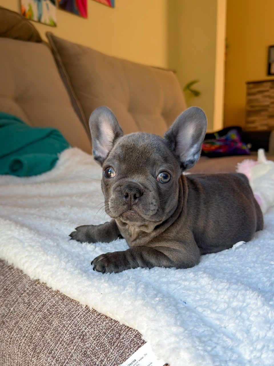 Hugo photo 3