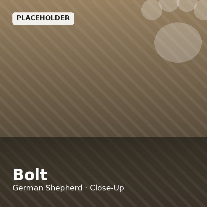 Bolt photo 3