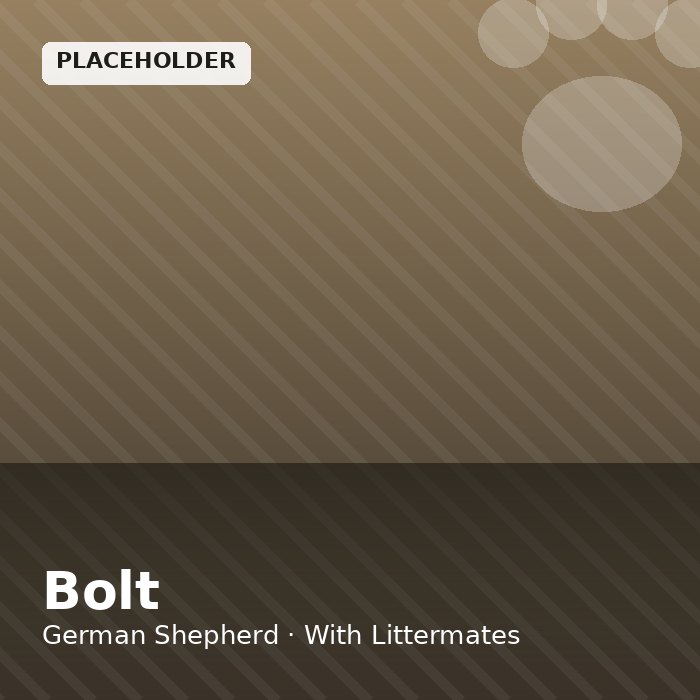 Bolt photo 4