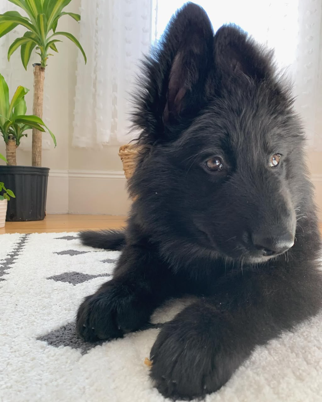 Kira photo 2