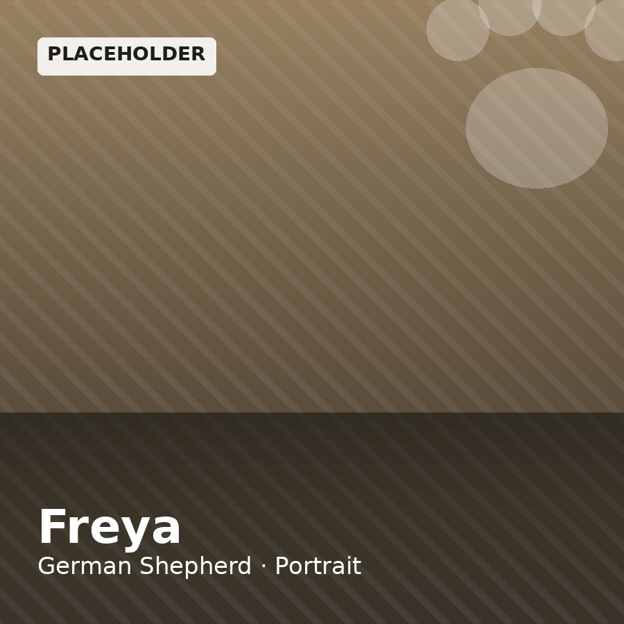 Freya, German Shepherd puppy, Female, Black & Tan