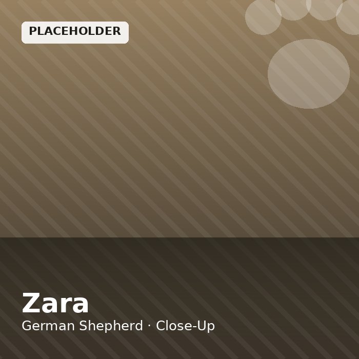 Zara photo 3