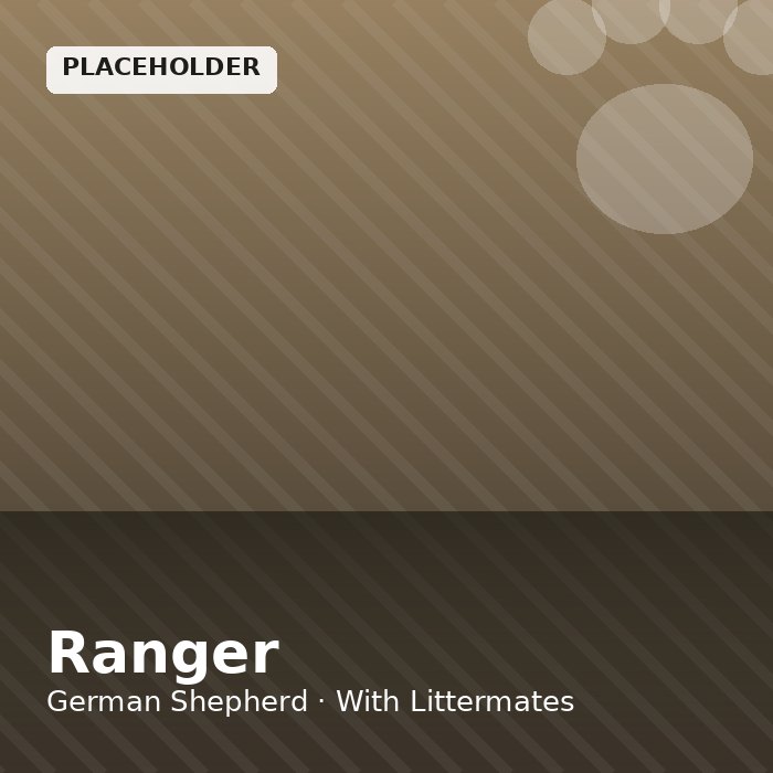 Ranger photo 4