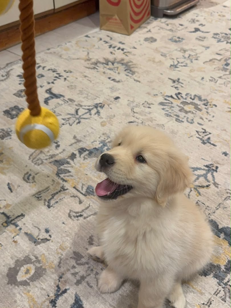 Finn photo 2