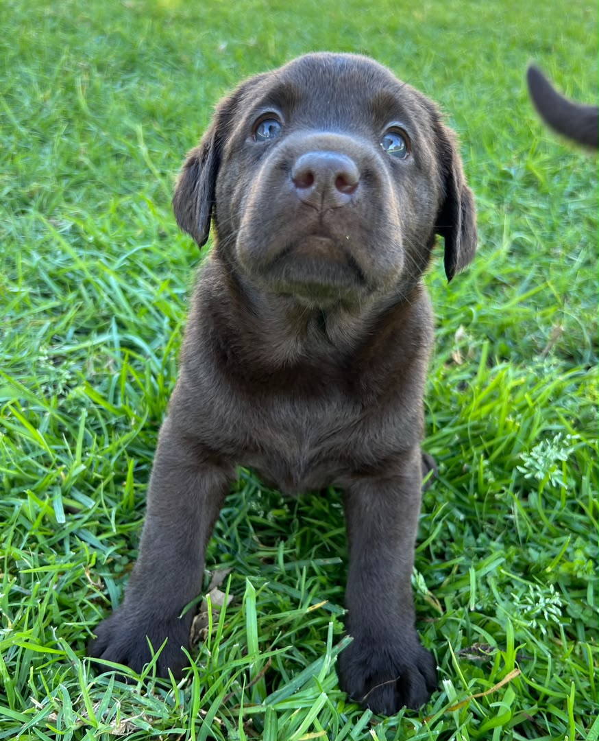 Rocky photo 3