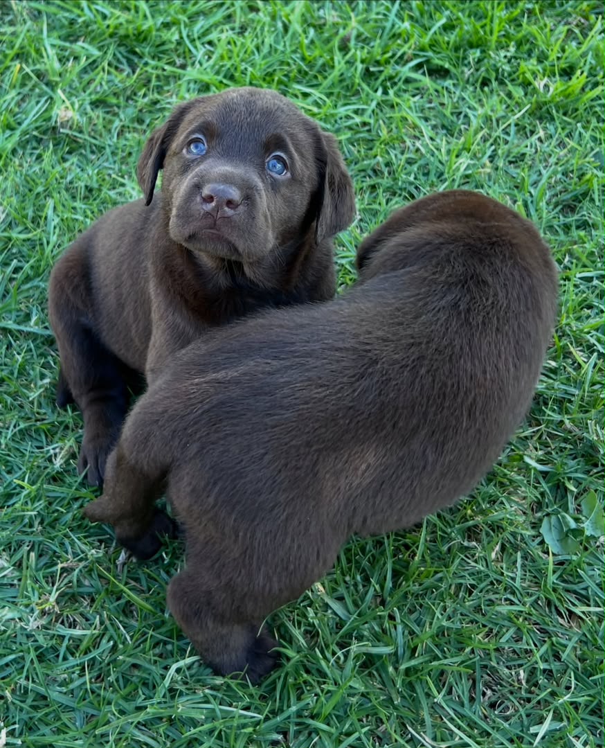 Rocky photo 4