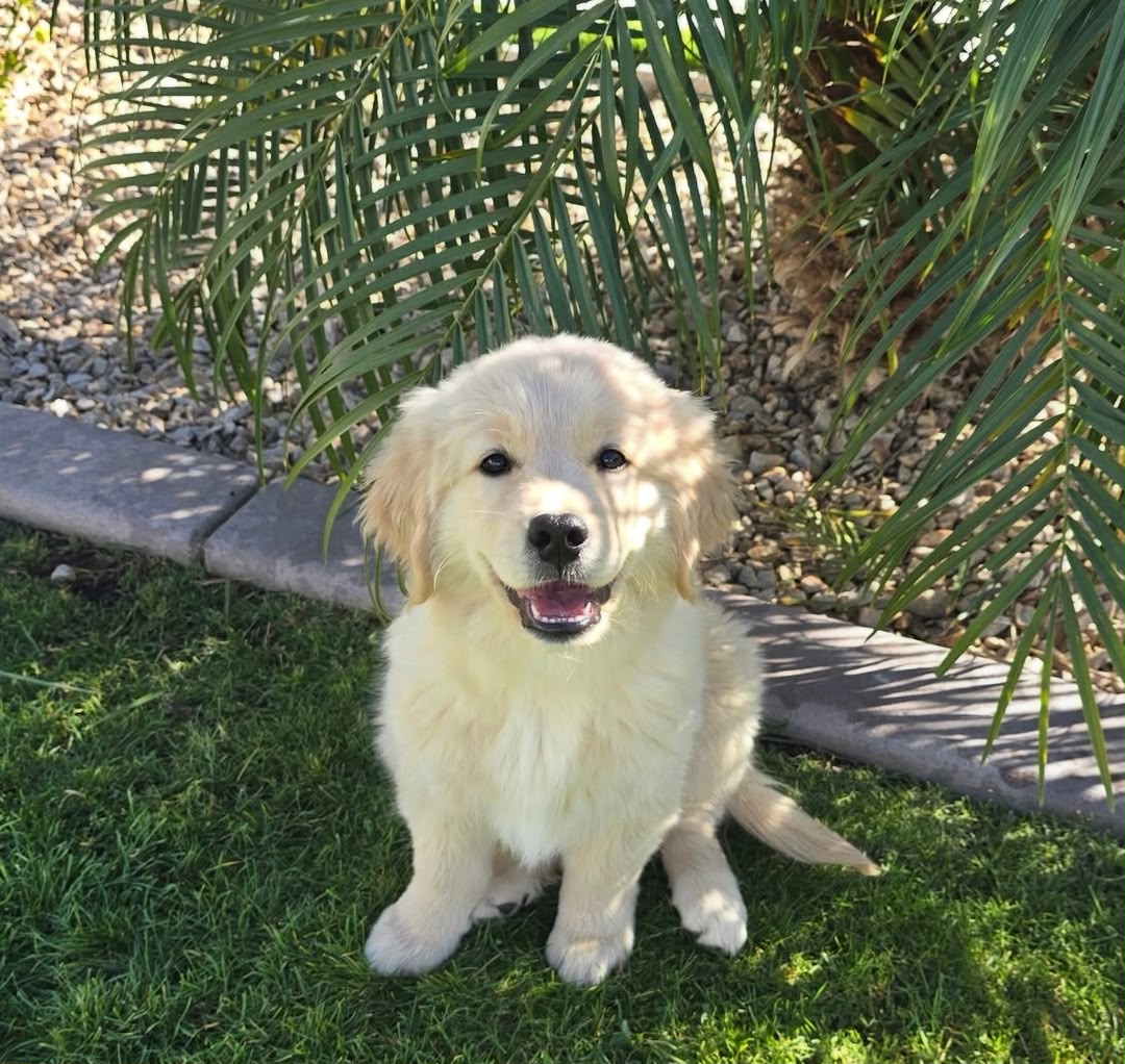 Charlie photo 3