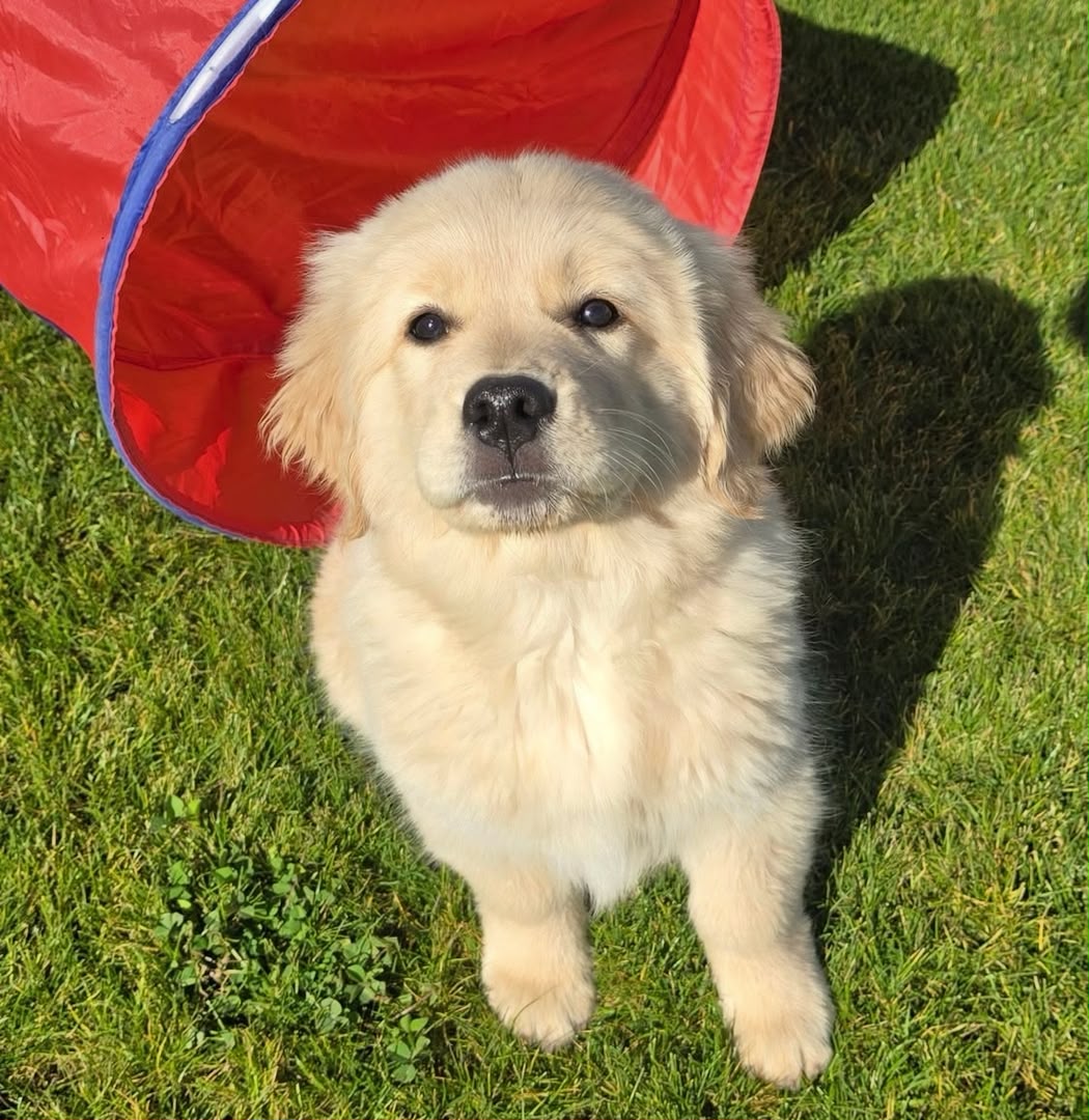 Charlie photo 4